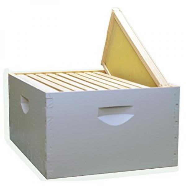 Little Giant HIVE10 Complete 10-Frame Hive